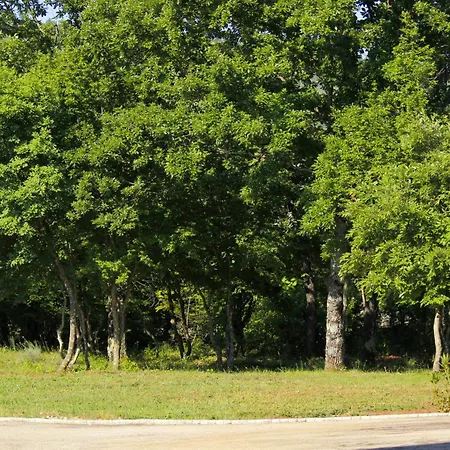 - Casa Adrianovo Lägenhet